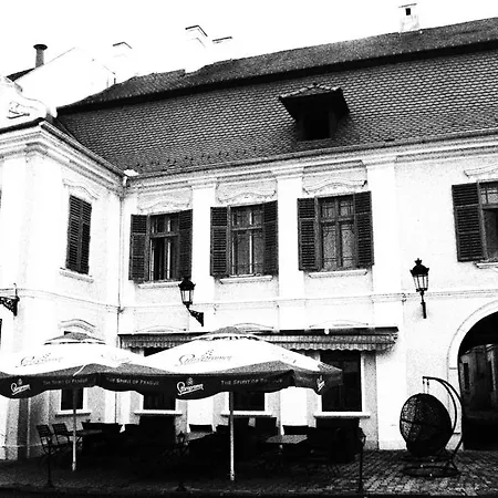 Ferdinand Apartment Mediaş