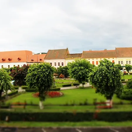 Appartement Ferdinand Mediaş