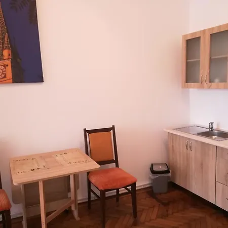 Ferdinand Apartment Mediaş