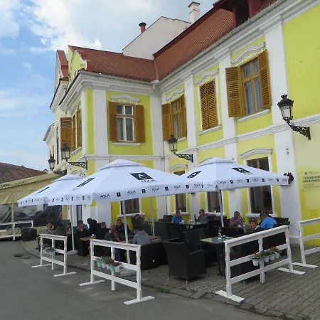 Ferdinand Appartement Mediaş
